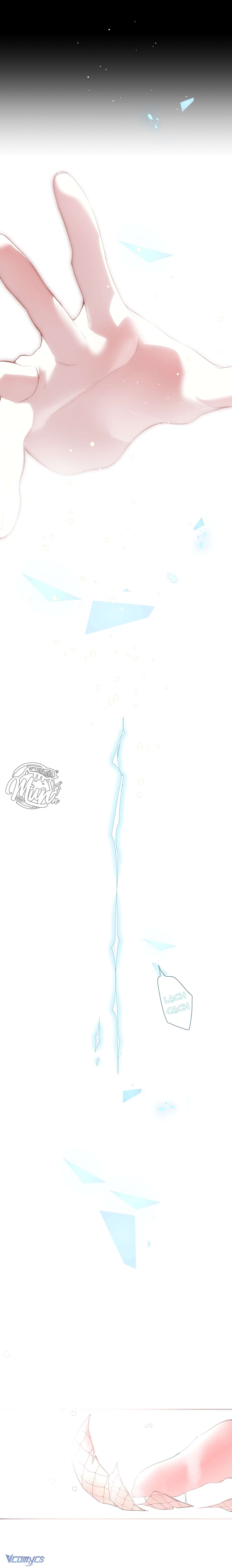 Cô ấy sẽ thuần hoá anh hùng Chap 6 - Trang 3