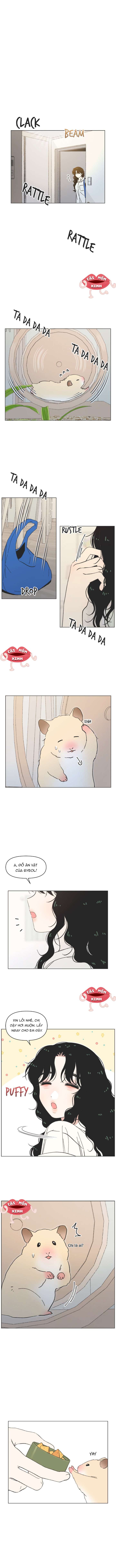 Seasons of Lovesome Seasons of Lovesome-Chap 40 - Trang 2