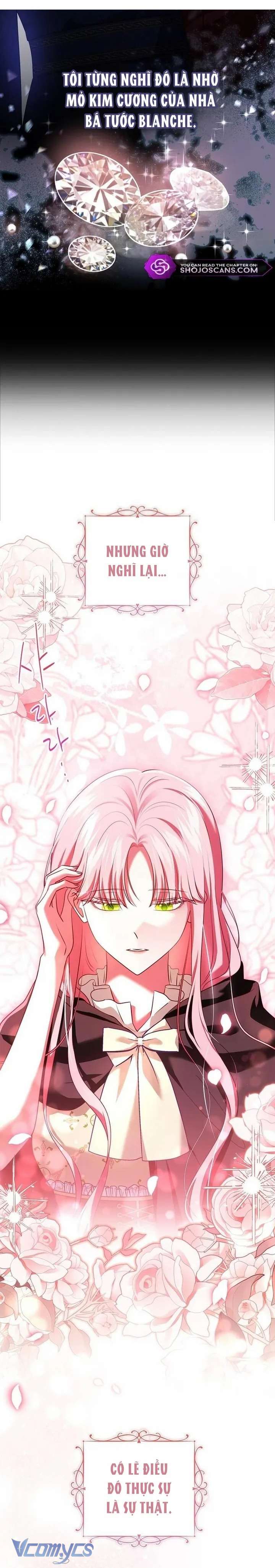 Hãy Để Luật Sư Chuyên Nghiệp Lo Chuyện Ly Hôn Chap 3 - Trang 2