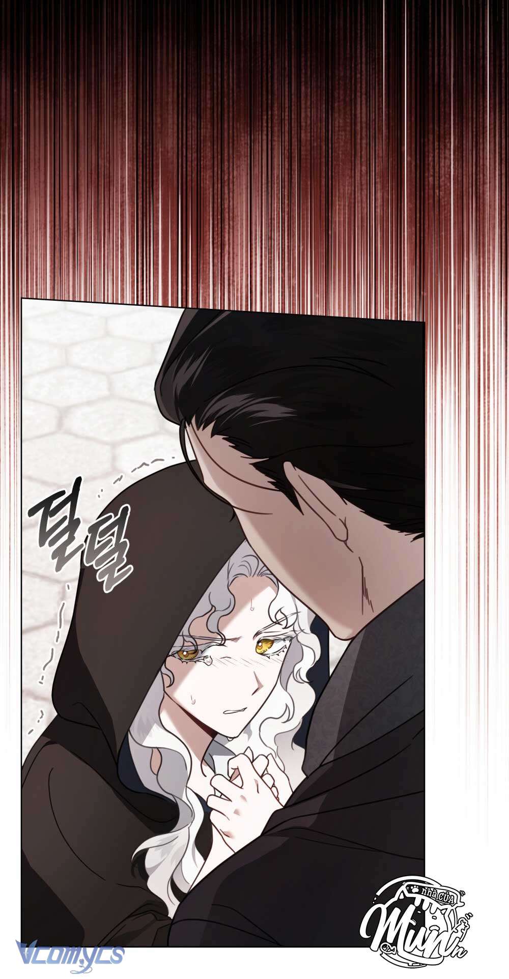 Hôn Nhân Khế Ước Chap 7 - Trang 4