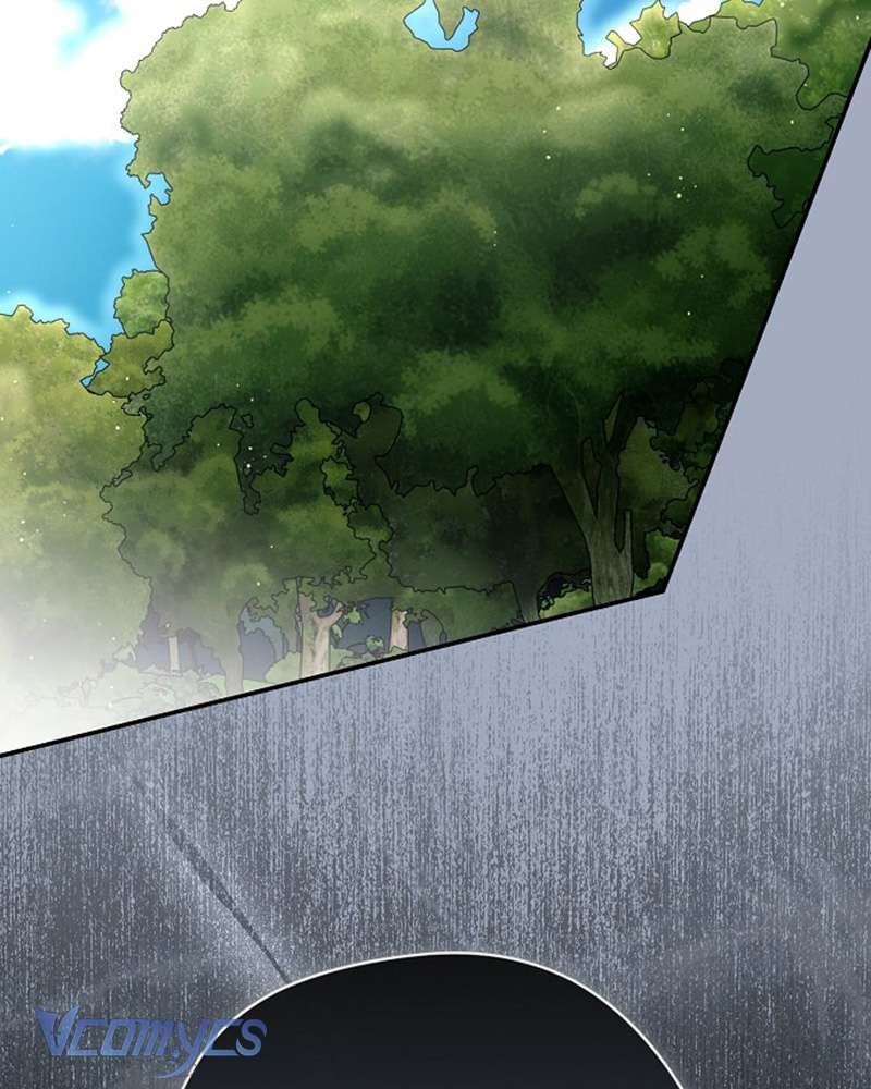 Các Nam Chính Đã Bị Nữ Phụ Cướp Mất Chap 61 - Trang 3