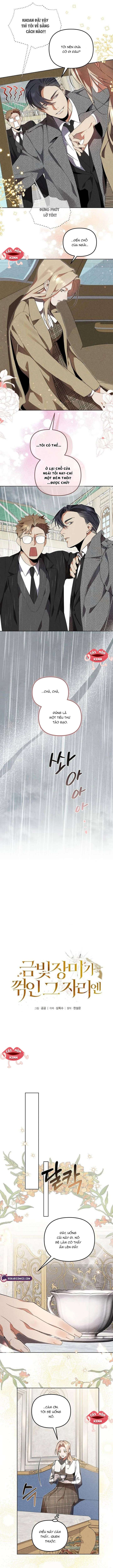 Nơi Đóa Hồng Vàng Úa Tàn Chap 5 - Trang 3