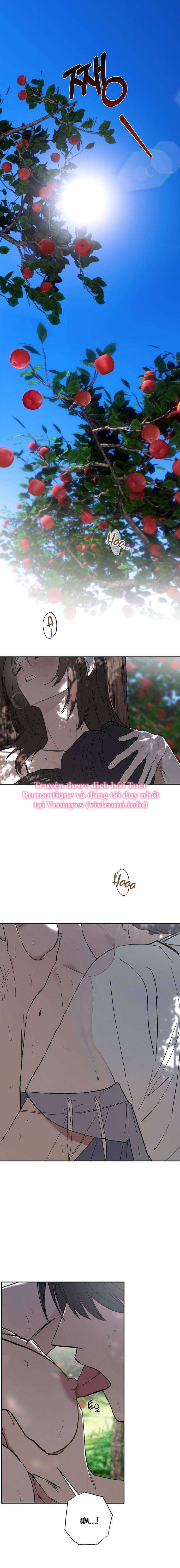 [KHÔNG CHE] Ẩn Tình Nơi Vườn Cây Ăn Quả Chap 1 - Next Chap 2