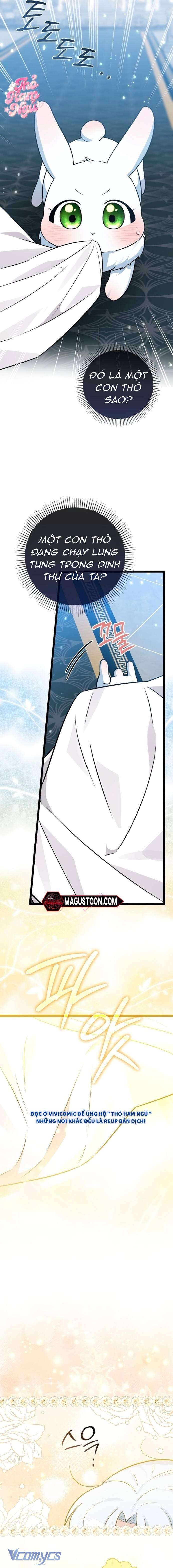 Thỏ Á? Rõ Ràng Là Mãnh Thú Cơ Mà! Chap 18 - Trang 3