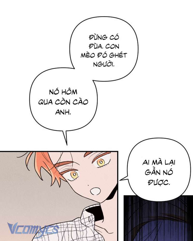 Tối Nay Tôi Là Người Được Cô Ấy Chọn Chap 1 - Trang 3