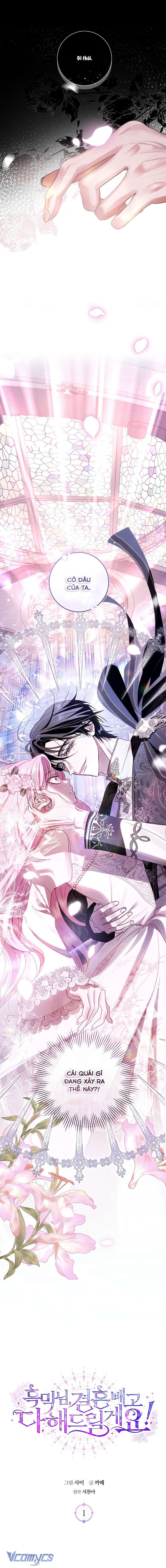 Này Boss Phản Diện, Tôi Có Thể Làm Mọi Thứ Trừ Cưới Ngài Chap 1 - Trang 4