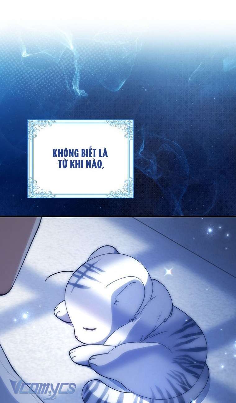 Công Chúa Bạch Hổ Không Có Nguy Hiểm Nha! Chap 2 - Trang 2