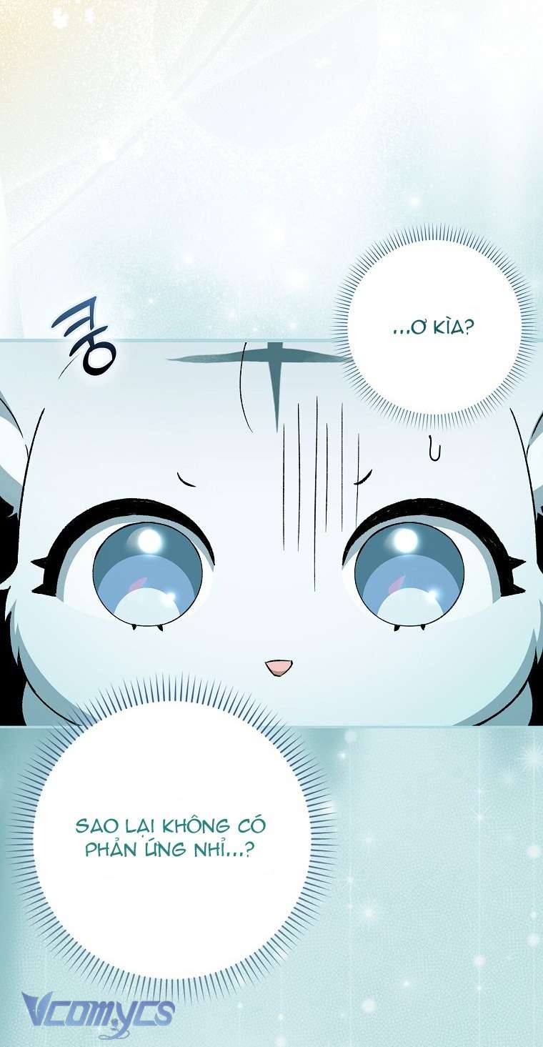 Công Chúa Bạch Hổ Không Có Nguy Hiểm Nha! Chap 6 - Trang 2