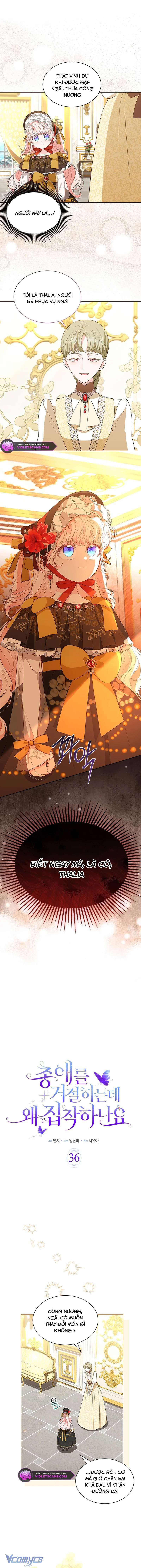 Đã Từ Chối Sủng Ái Rồi Mà Sao Còn Ám Ảnh Thế Chapter 36 - Trang 4