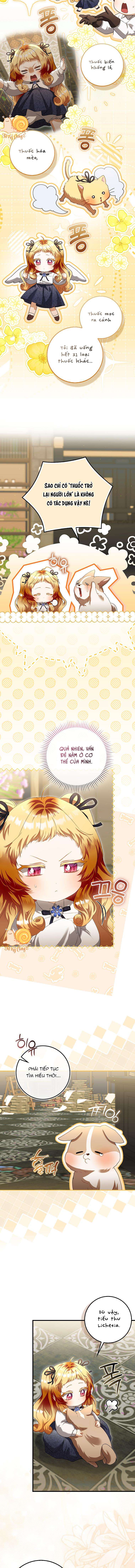 Nàng Tiên Bé Con Là Nhân Vật Phản Diện Chap 48 - Trang 2