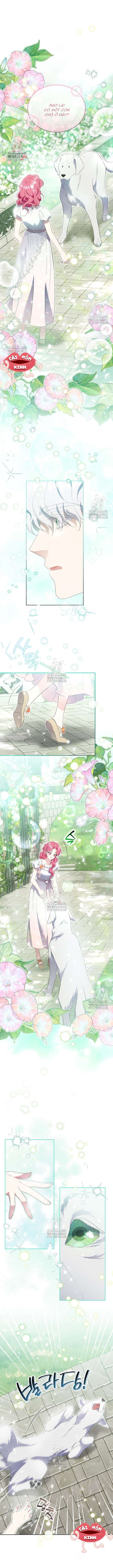 Khi Bị Nam Chính Dịu Dàng Nhưng Cố Chấp Ám Ảnh Chap 14 - Trang 2