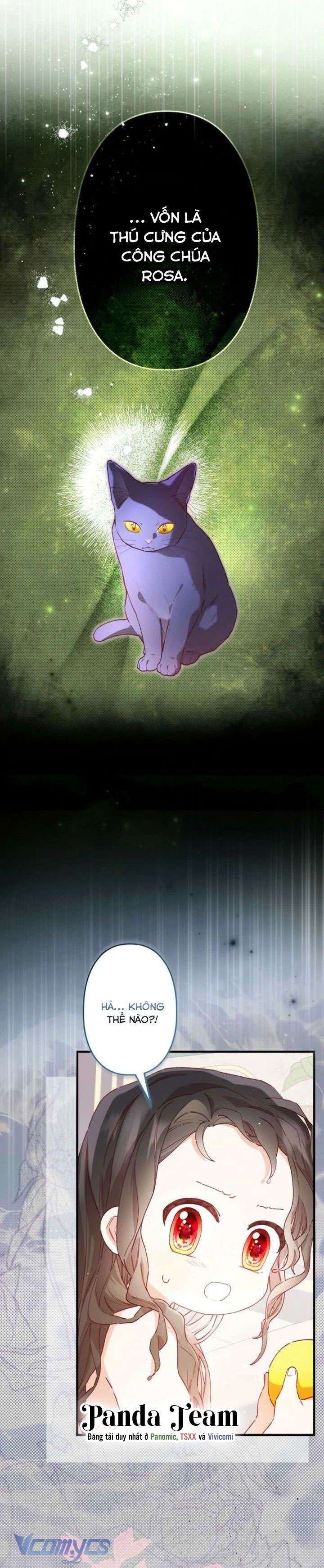 Kiếp Này Em Sẽ Không Sống Dưới Cái Bóng Của Người Chị Song Sinh Chap 8 - Trang 3