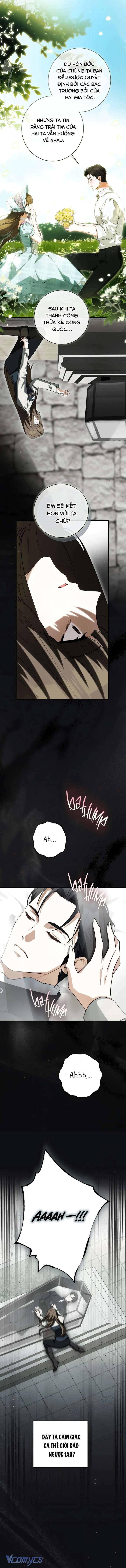 Hình Như Tôi Đã Xuyên Vào Cuốn Tiểu Thuyết Nào Đó Chap 79 - Trang 2