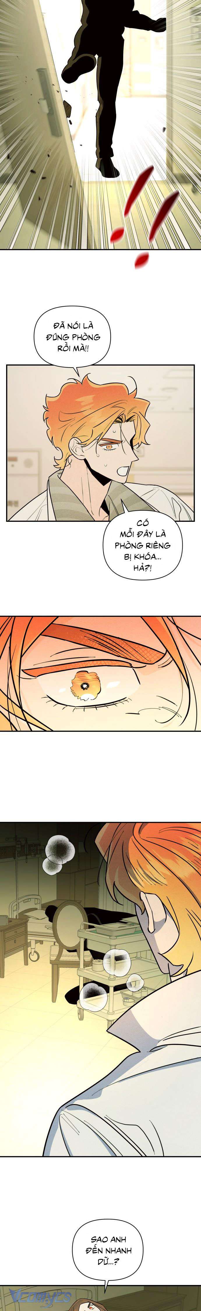 Tối Nay Tôi Là Người Được Cô Ấy Chọn Chap 24 - Trang 3