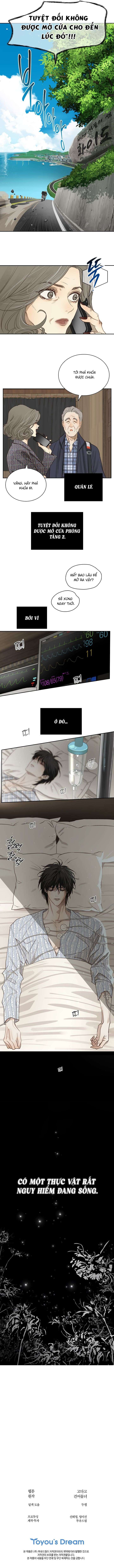 [KHÔNG CHE] [18+] Đóa Hoa Là Mồi Nhử Chap 1 - Next Chap 2