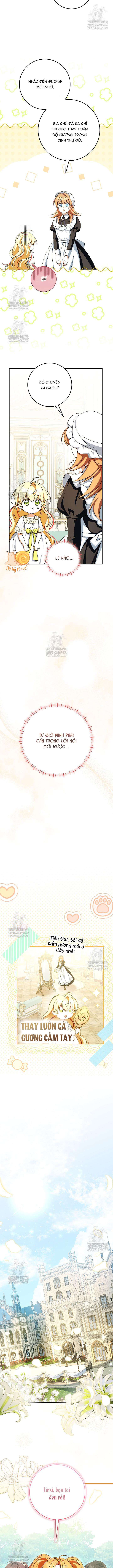 Nàng Chim Được Dinh Thự Sói Yêu Thương Chap 60 - Next Chap 61