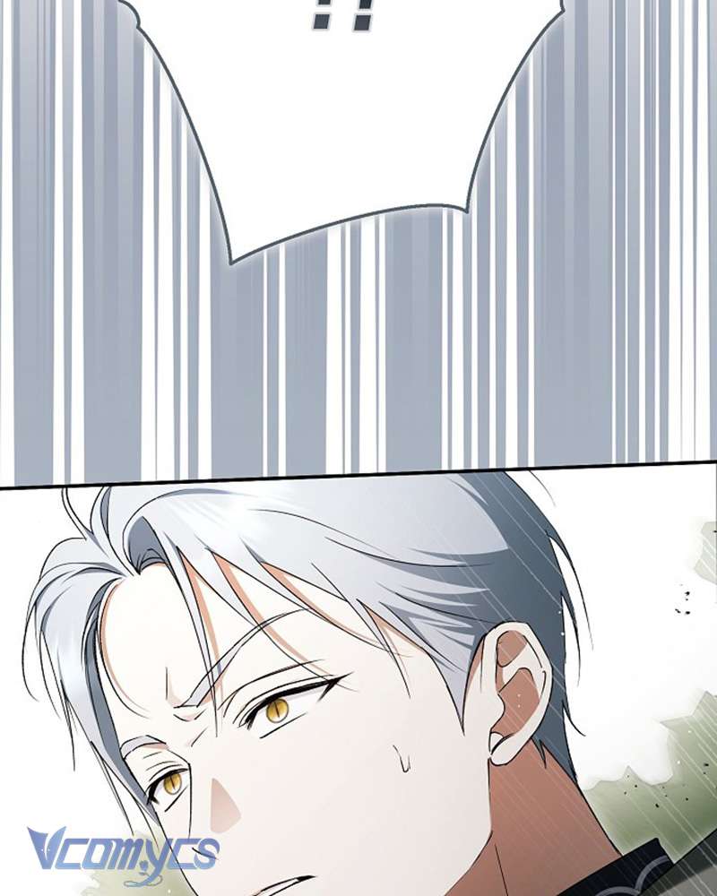 Các Nam Chính Đã Bị Nữ Phụ Cướp Mất Chap 61 - Trang 3