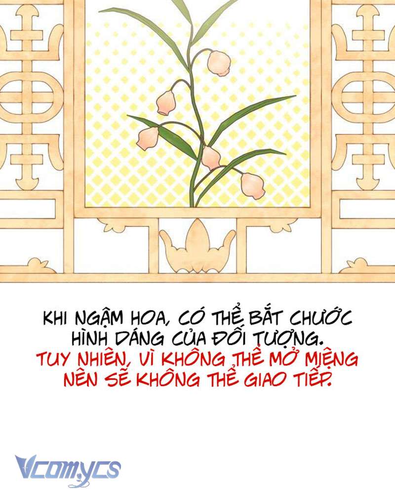 Chuyện Tình Tuyết Phương Bắc Chap 50 - Trang 3