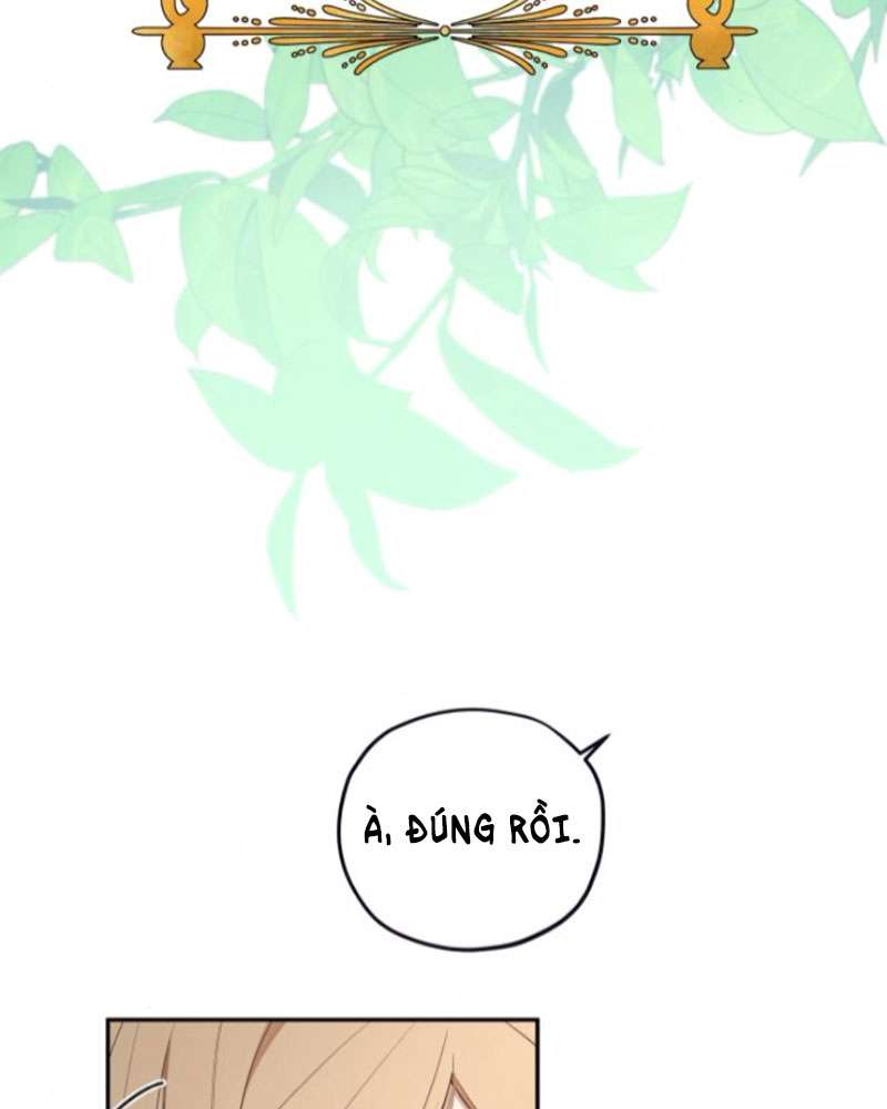 Trận Đấu Đồng Đội Của Những Tài Xế Xe Tải Chap 38 - Trang 4