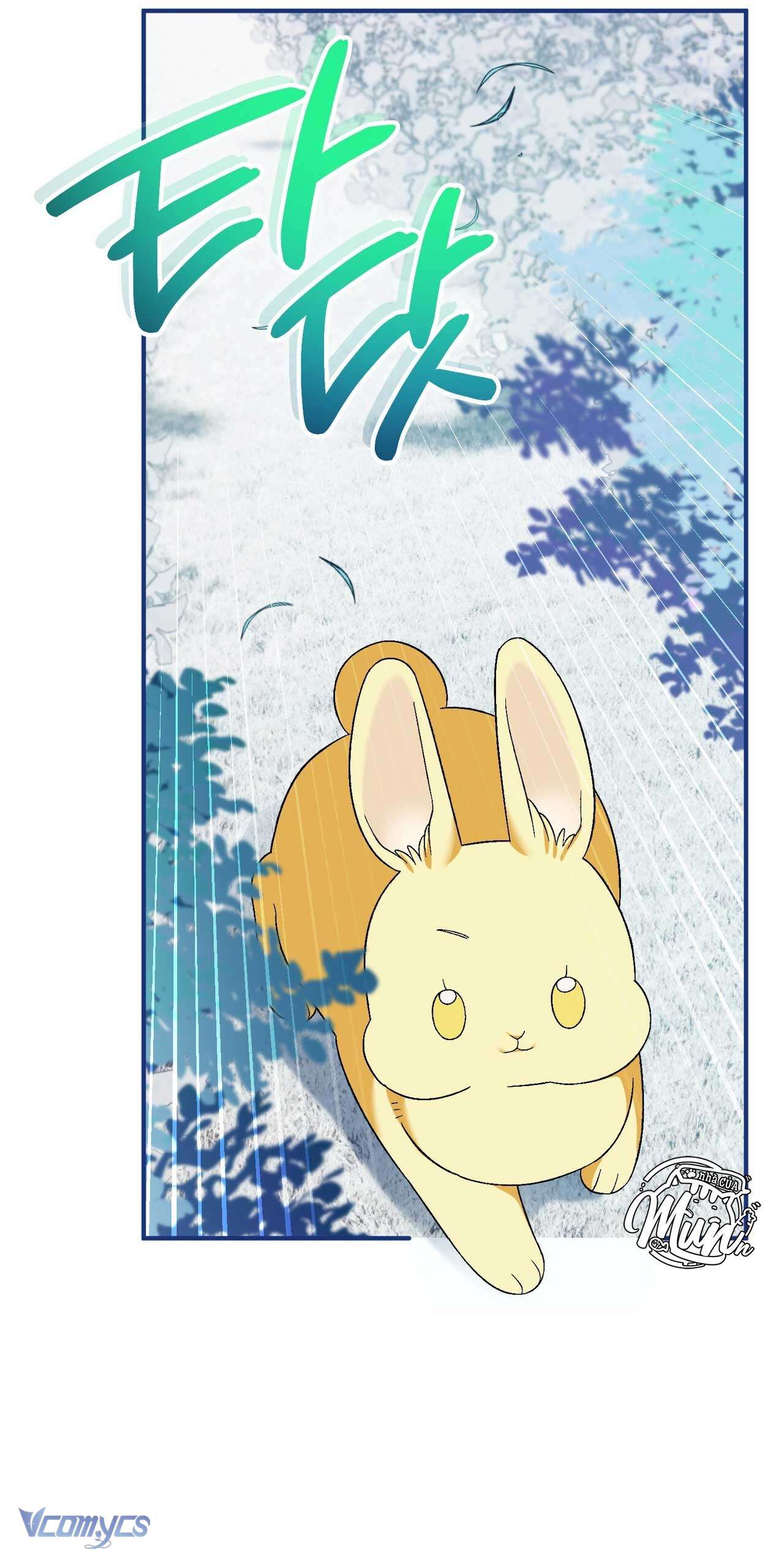 Gửi đến người sói yêu dấu của em Chap 11 - Next Chap 12