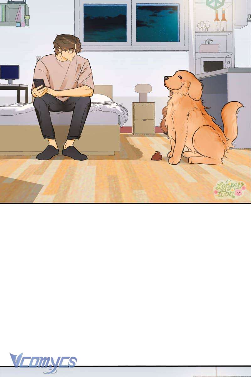 Golden Hour Chap 3 - Trang 2