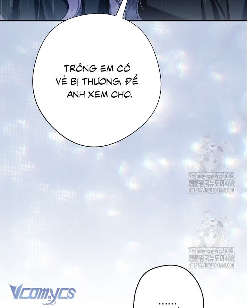 Các Nam Chính Đã Bị Nữ Phụ Cướp Mất Chap 70 - Trang 2