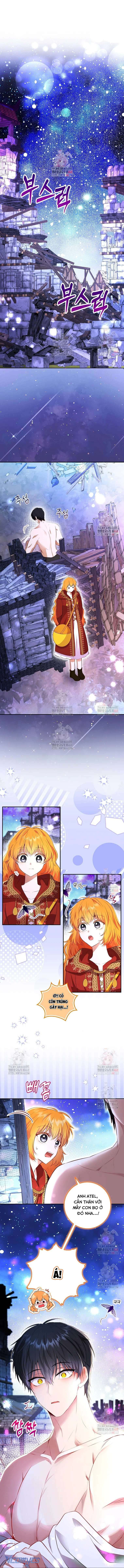 Sóc Con Tài Năng Chap 112 - Trang 2