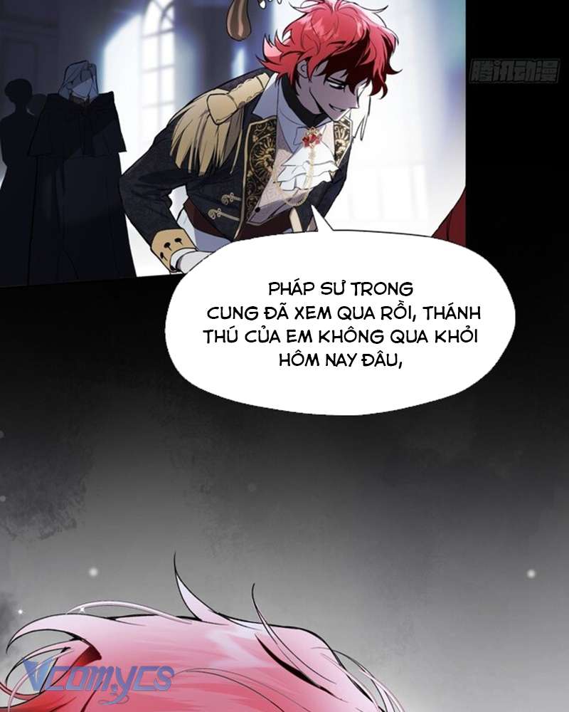 Cô Ấy Sẽ Thuần Hóa Các Anh Hùng Chap 1 - Trang 2