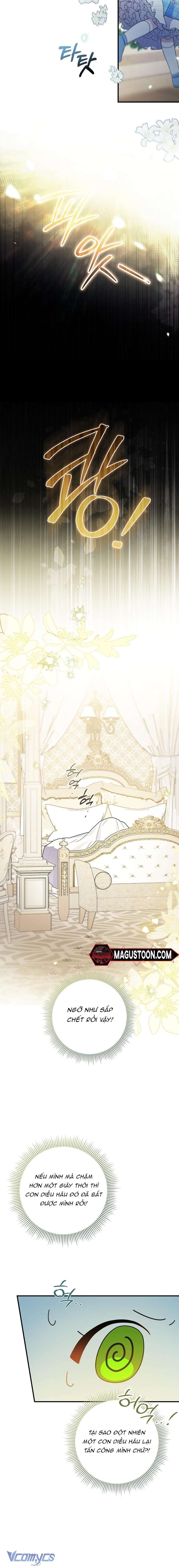 Thỏ Á? Rõ Ràng Là Mãnh Thú Cơ Mà! Chap 1 - Next Chap 2