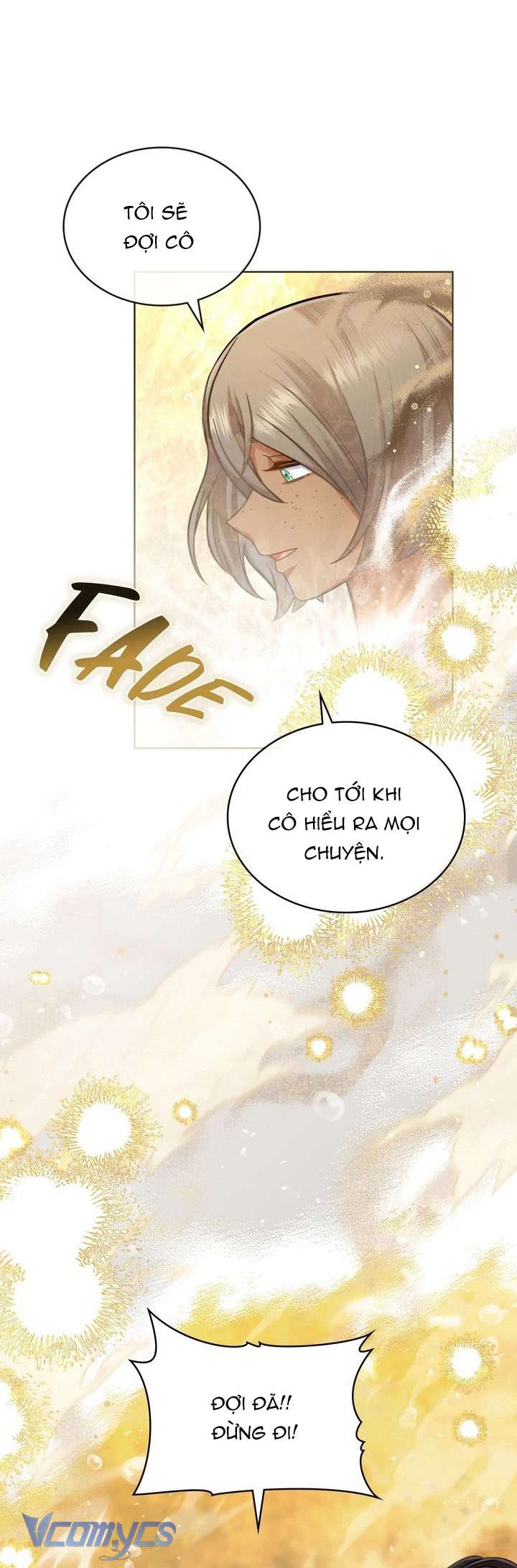Hôn Nhân Giả Dối Chap 65 - Trang 3