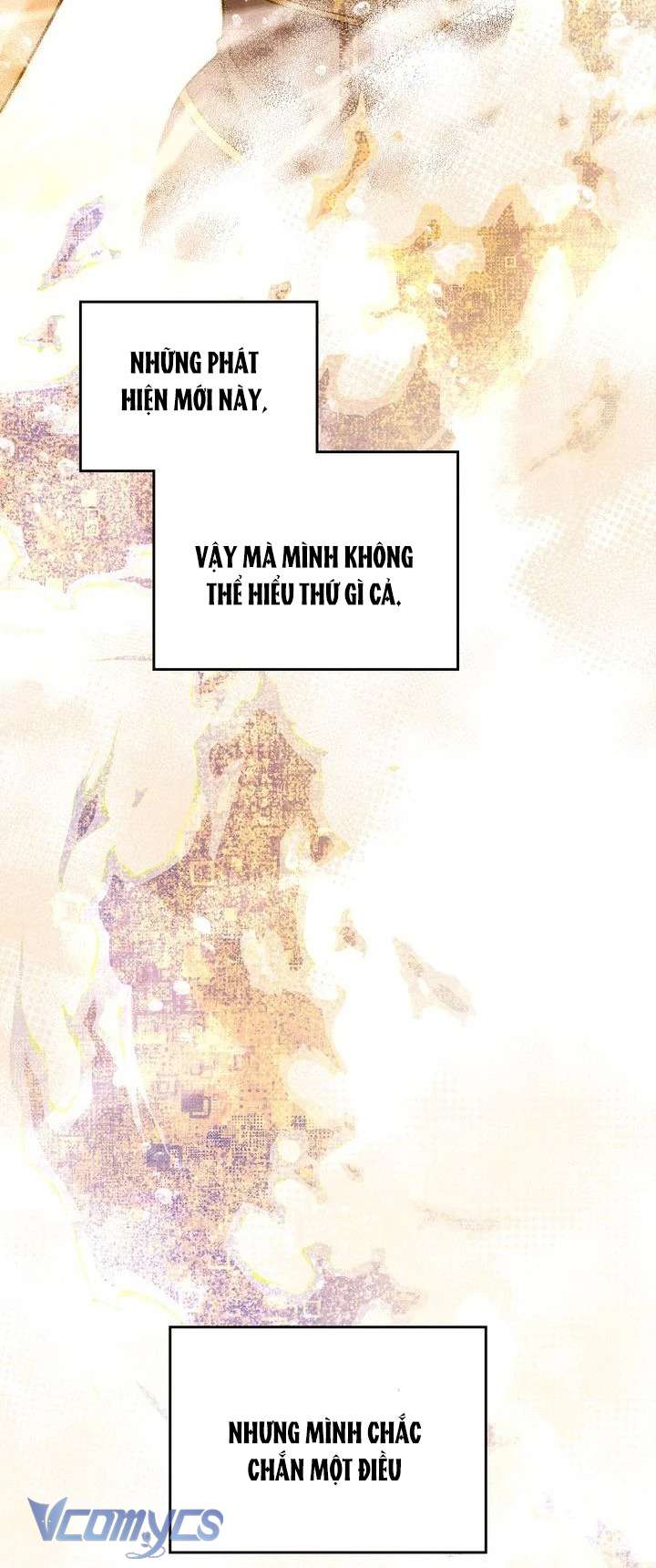 Hôn Nhân Giả Dối Chap 65 - Trang 3