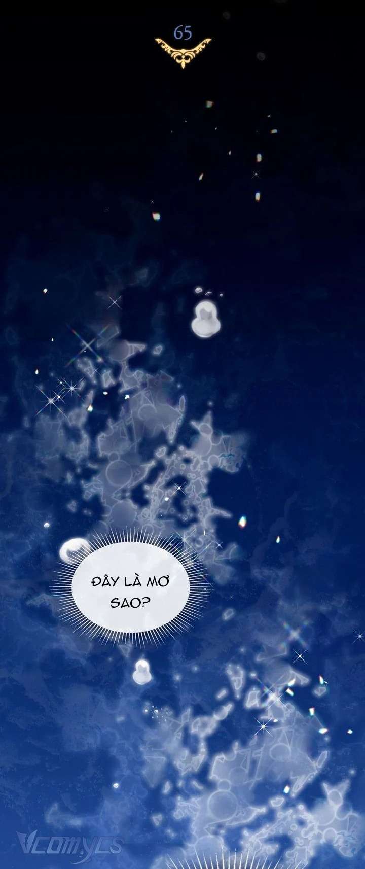 Hôn Nhân Giả Dối Chap 65 - Trang 3
