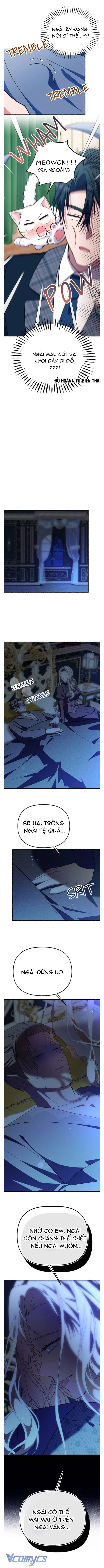 Trở Thành Chú Mèo Ngủ Cùng Bạo Chúa Chap 49 - Trang 3