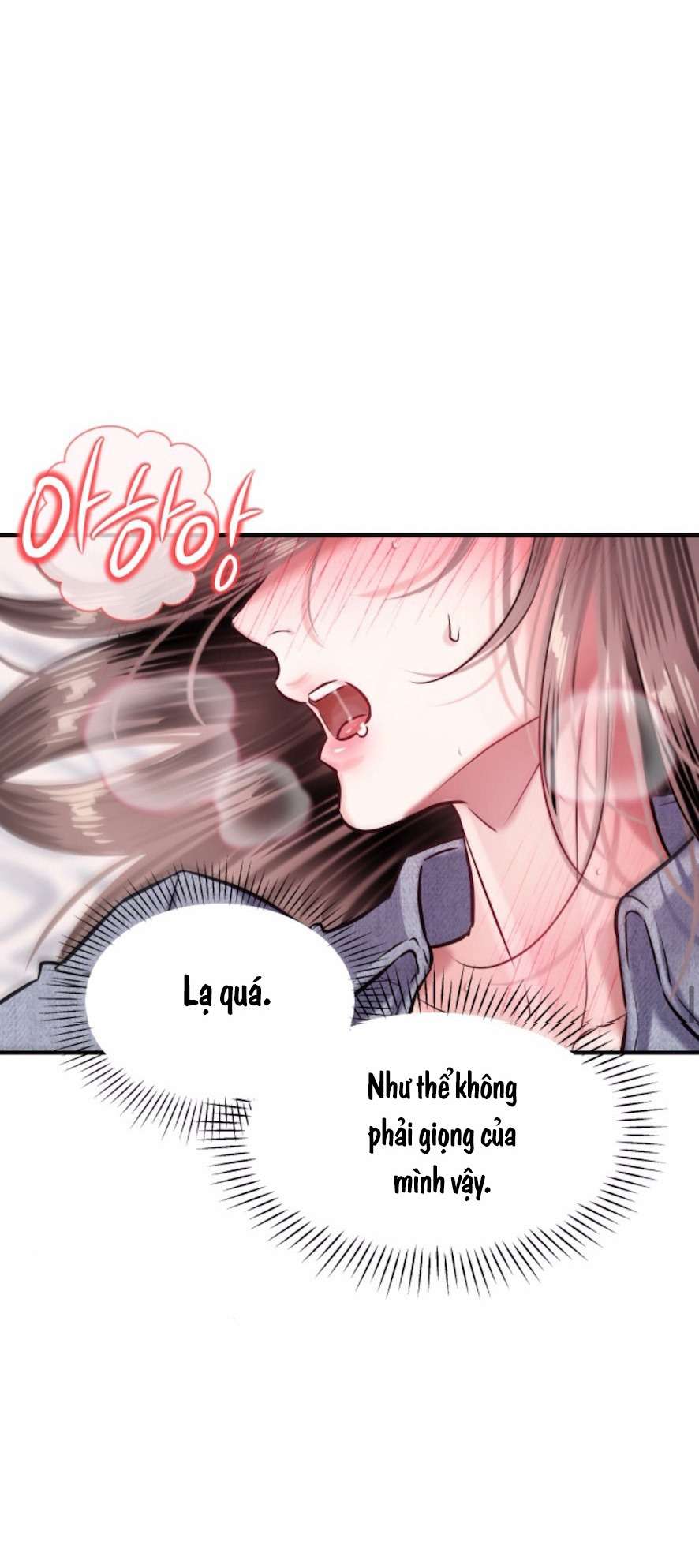 Sở Thích Bị Cai Trị Chap 13 - Trang 2