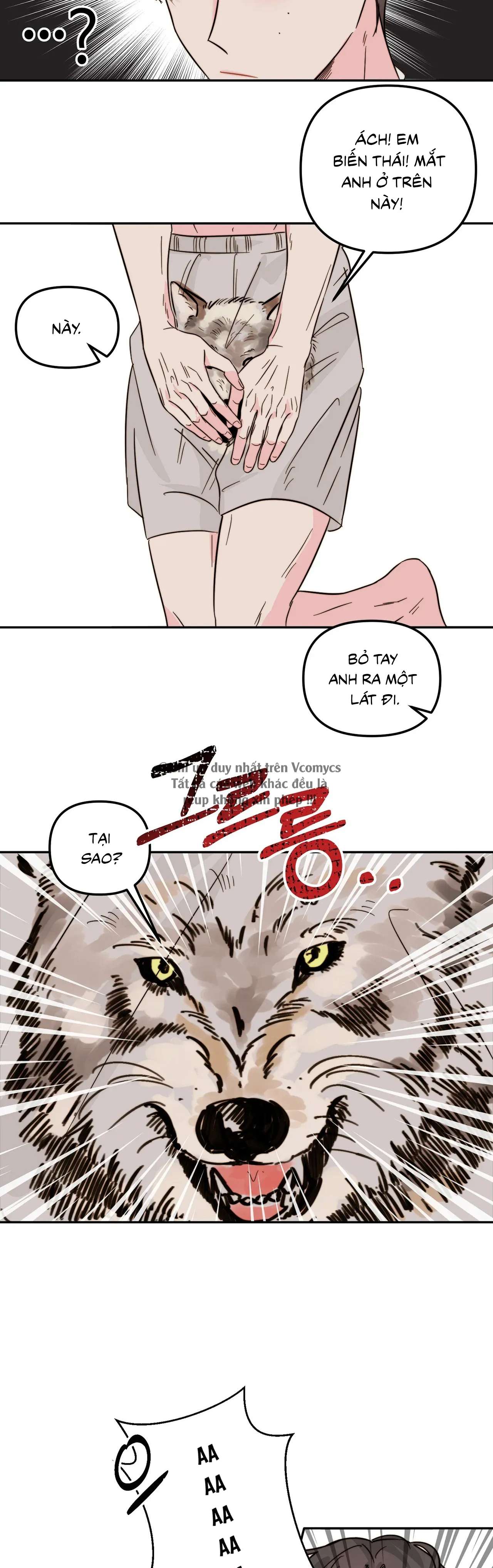 Trong Tổ Chức Chỉ Có Hai Ta? Chap 6 - Next Chap 7