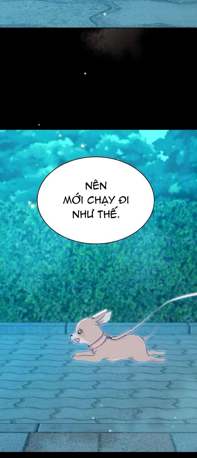 Bầu Trời Mùa Hạ Dấu Yêu Chap 35 - Trang 4