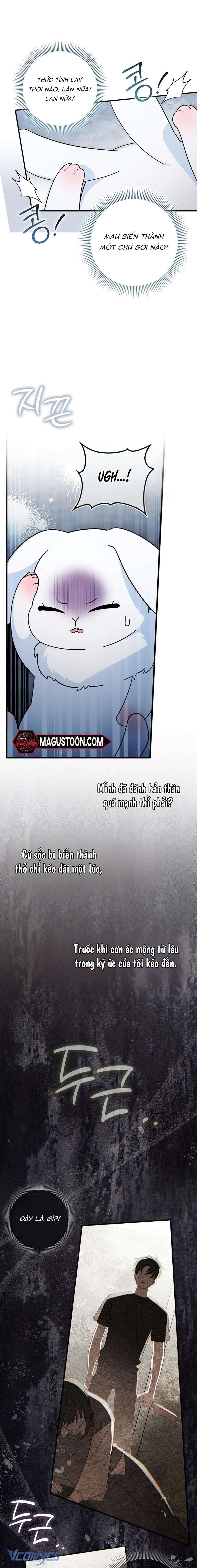 Thỏ Á? Rõ Ràng Là Mãnh Thú Cơ Mà! Chap 1 - Trang 2