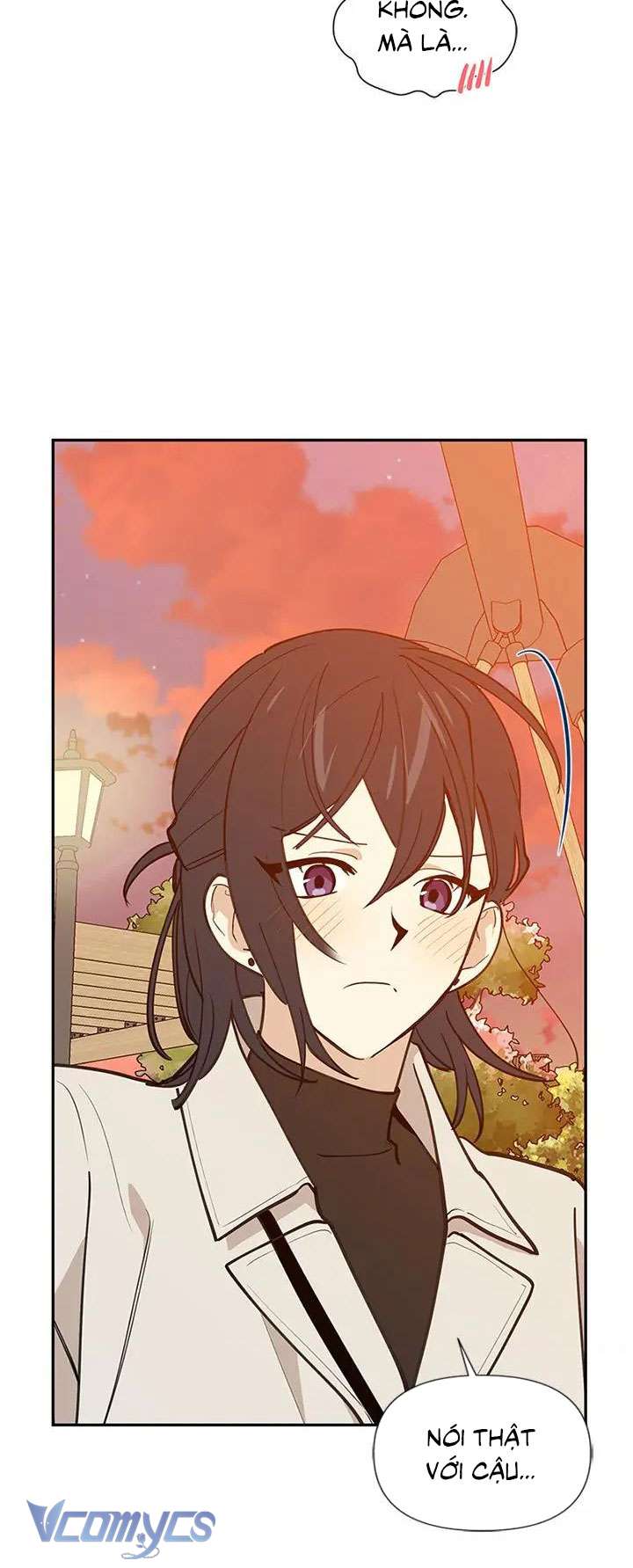 Điều Ước Sao Băng Chap 54 - Trang 3