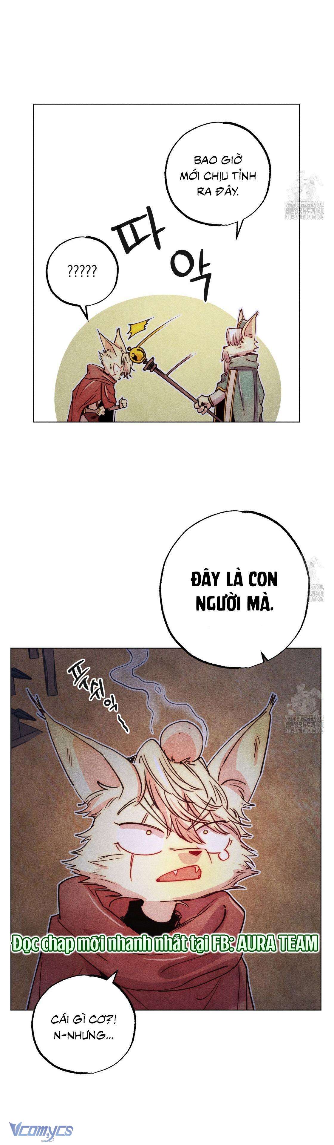 Thu Thập Đêm Đầu Tiên Của Các Nam Chính Chap 31 - Trang 3