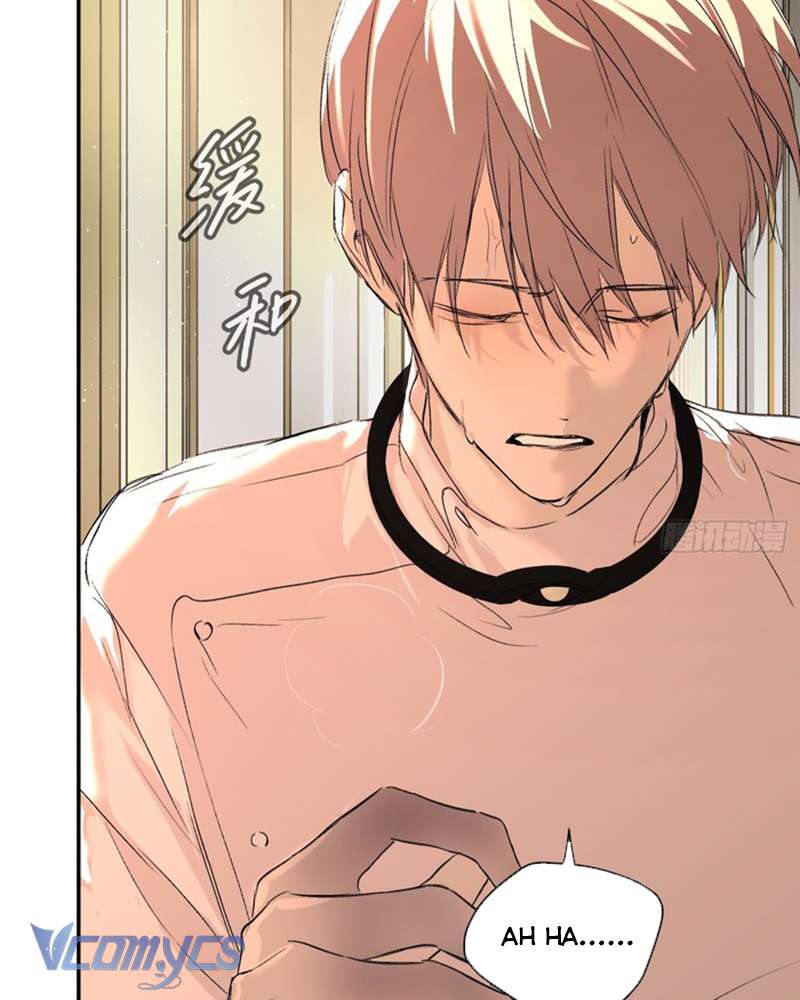 Ác Chi Hoàn Chap 53 - Trang 4
