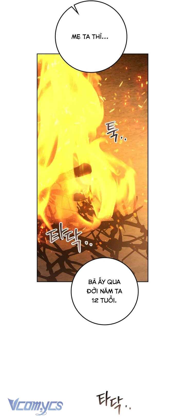 Dưới Bóng Cây Sồi Chapter 104 - Trang 4