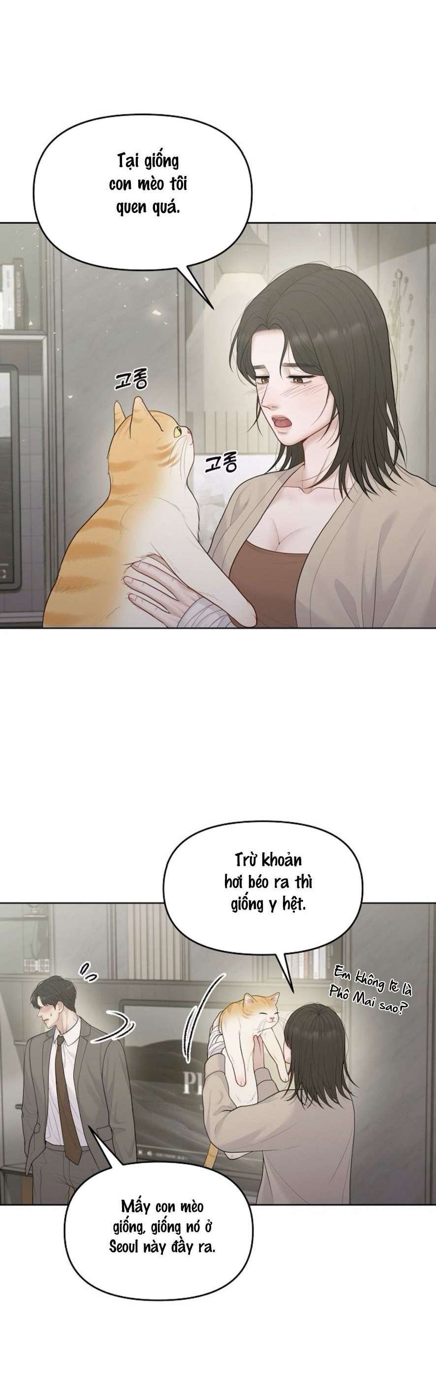 Mang Thai, Chiếm Đoạt Chap 13 - Trang 3
