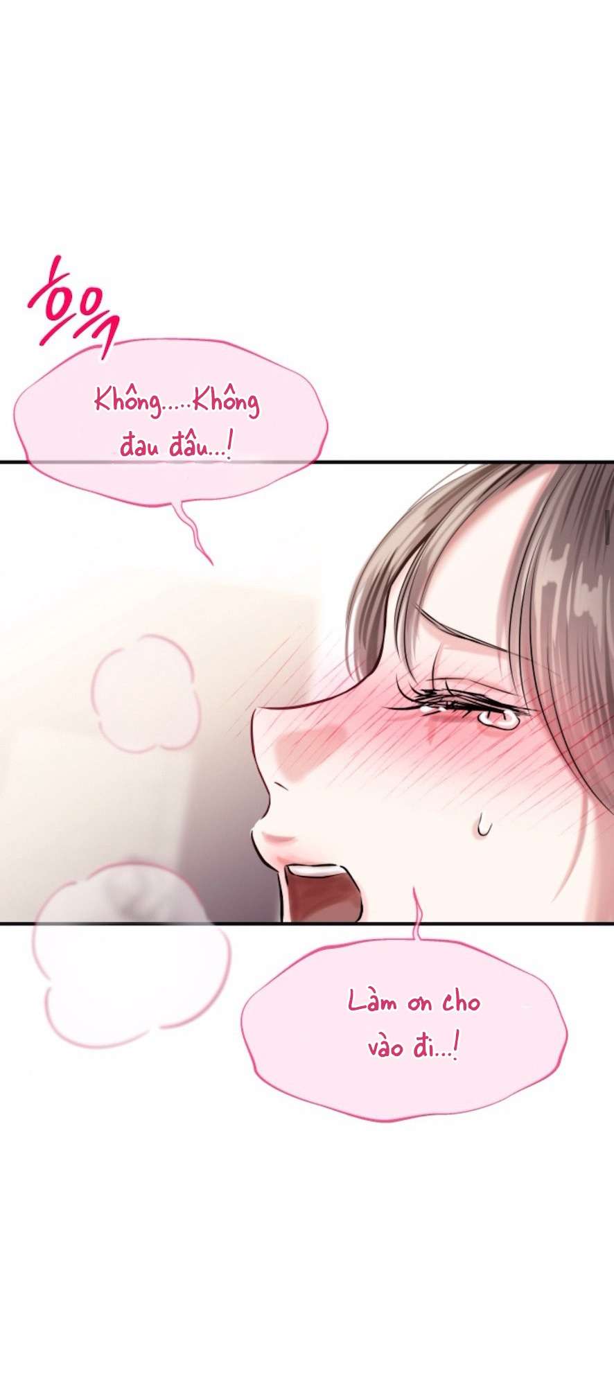 Sở Thích Bị Cai Trị Chap 17 - Trang 2