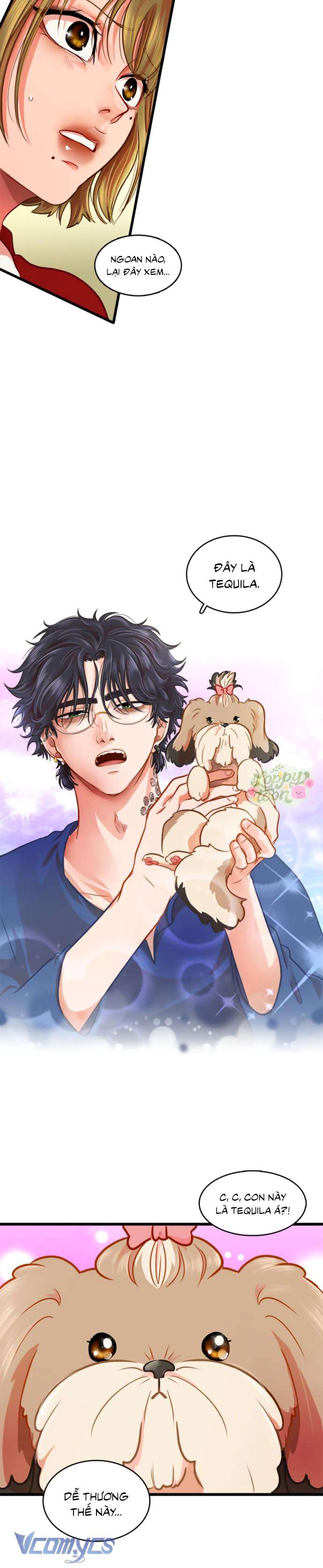 Chú Cún Dạo Bước Cùng Anh Chap 2 - Next Chap 2