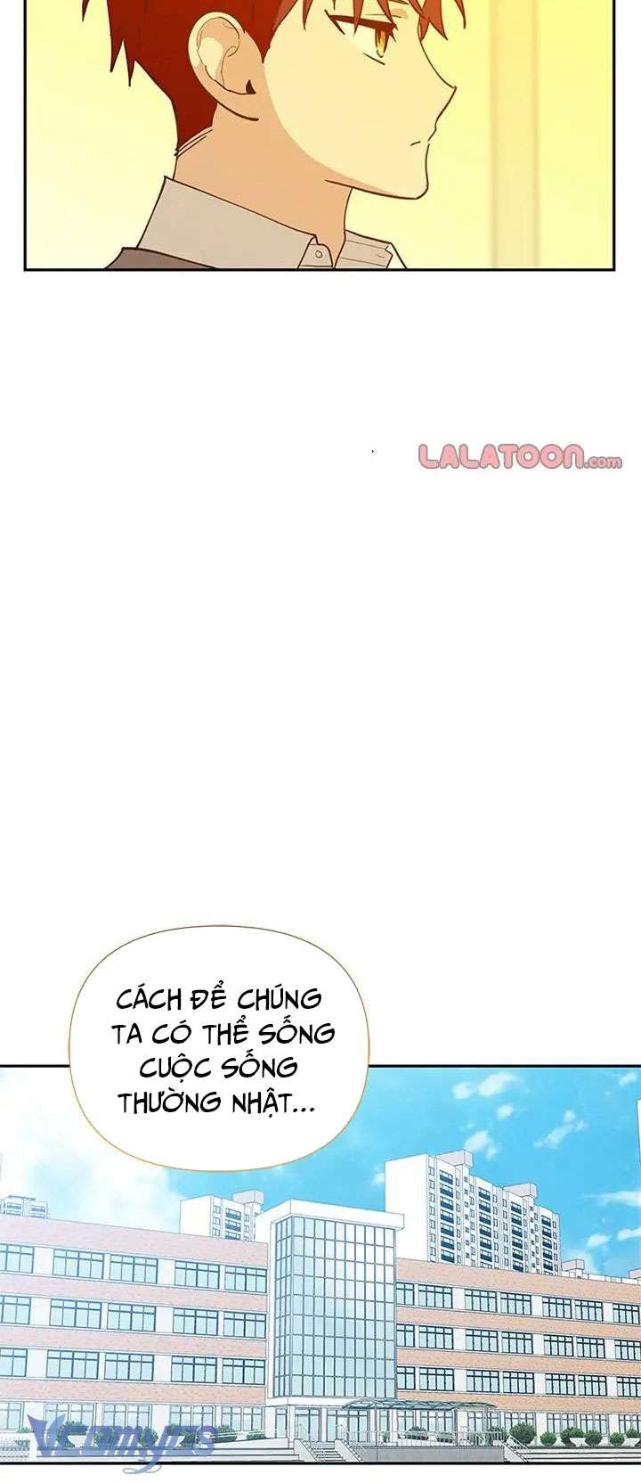 Điều Ước Sao Băng Chap 53 - Trang 3
