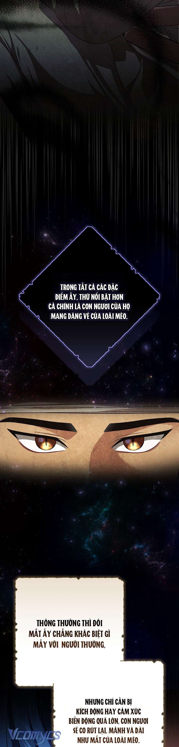 Tôi Đã Xem Một Vở Kịch Chap 17 - Trang 2