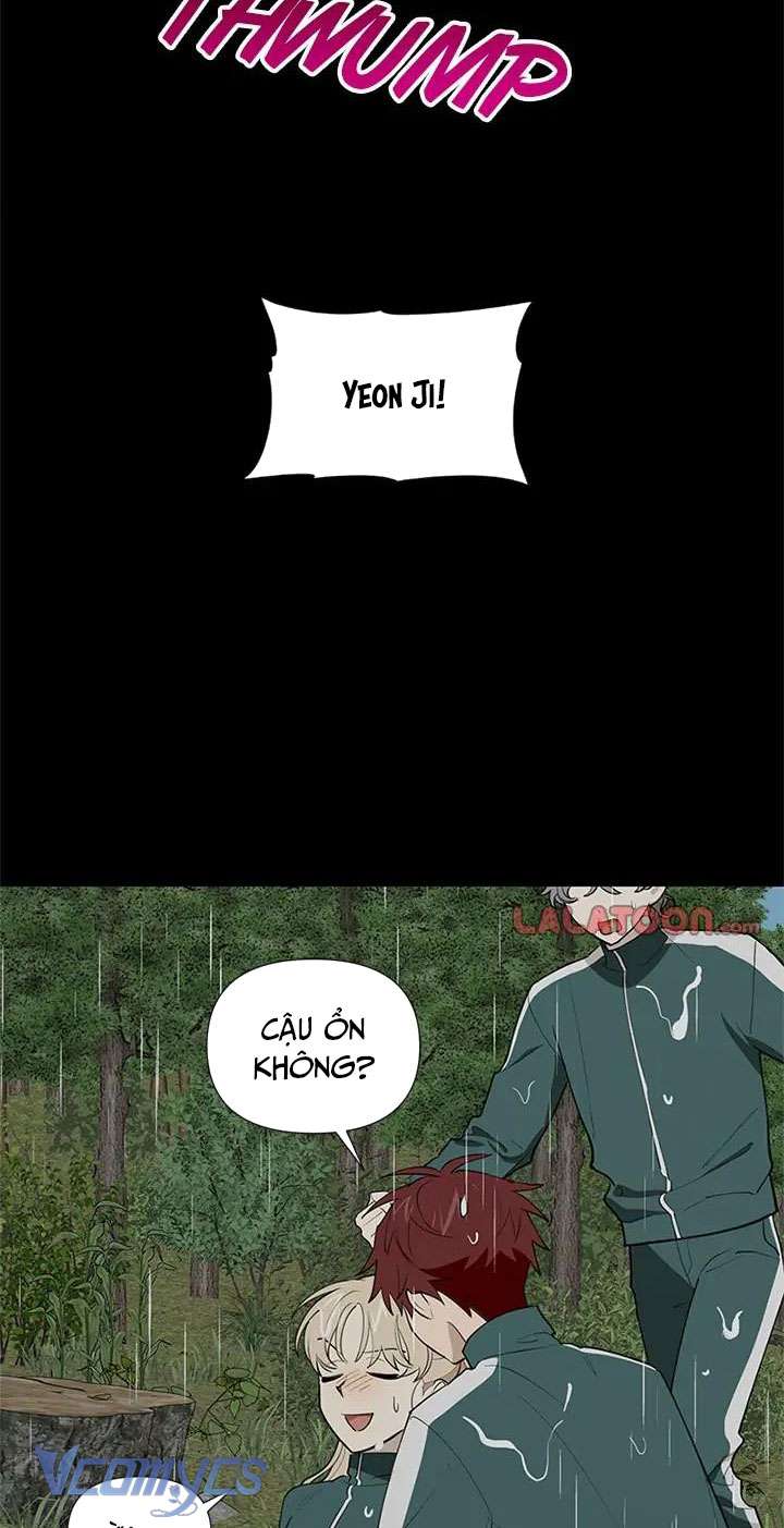 Điều Ước Sao Băng Chap 51 - Trang 4