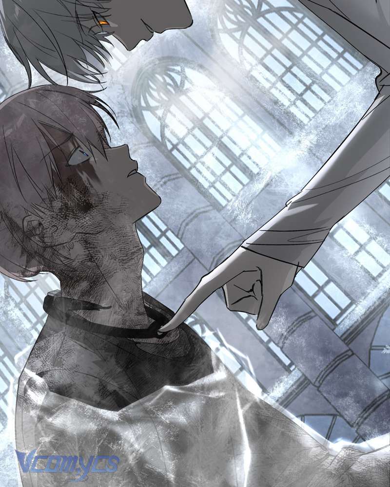 Ác Chi Hoàn Chap 57 - Trang 3