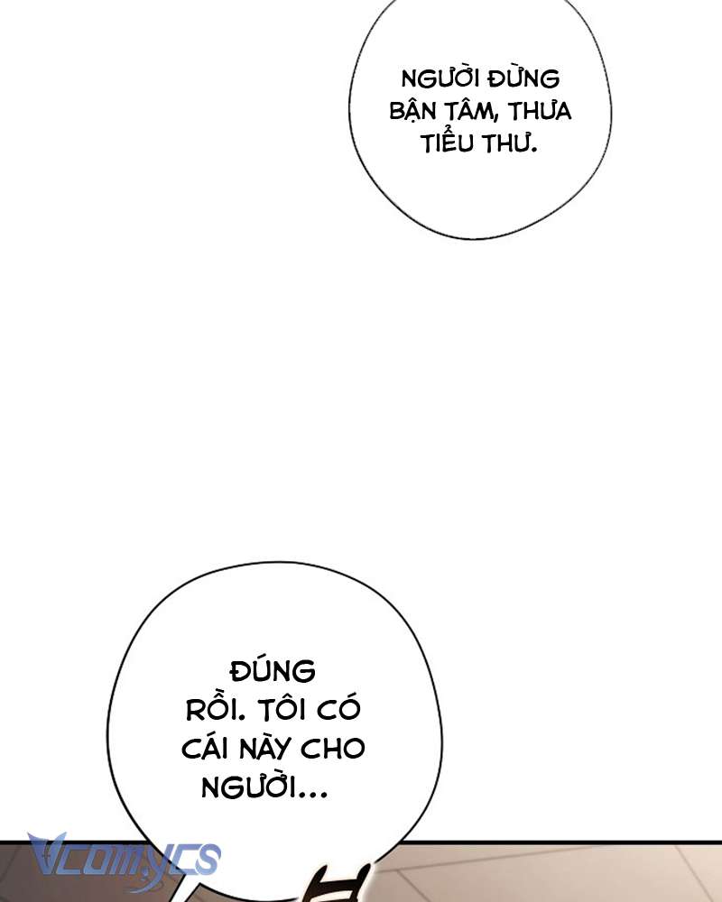Các Nam Chính Đã Bị Nữ Phụ Cướp Mất Chap 42 - Trang 2