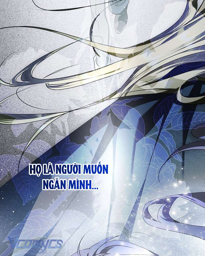 Các Nam Chính Đã Bị Nữ Phụ Cướp Mất Chap 42 - Trang 2